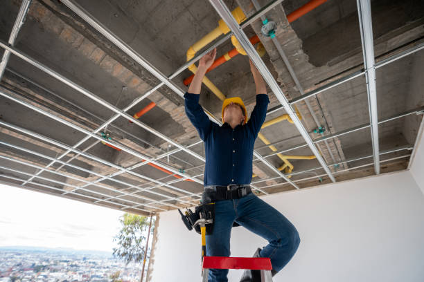 Best Plumbing Services Near Me  in Timber Pines, FL