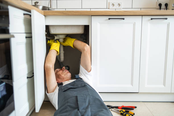 Best Residential Plumbing Services  in Timber Pines, FL